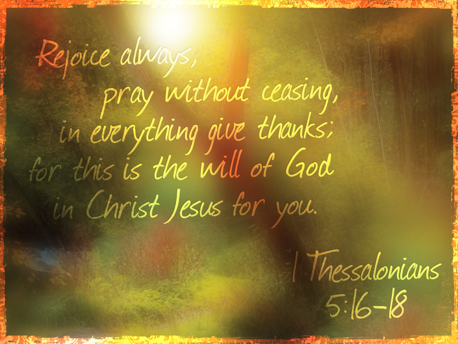 Sunday Reflections – Cultivating Thankfulness